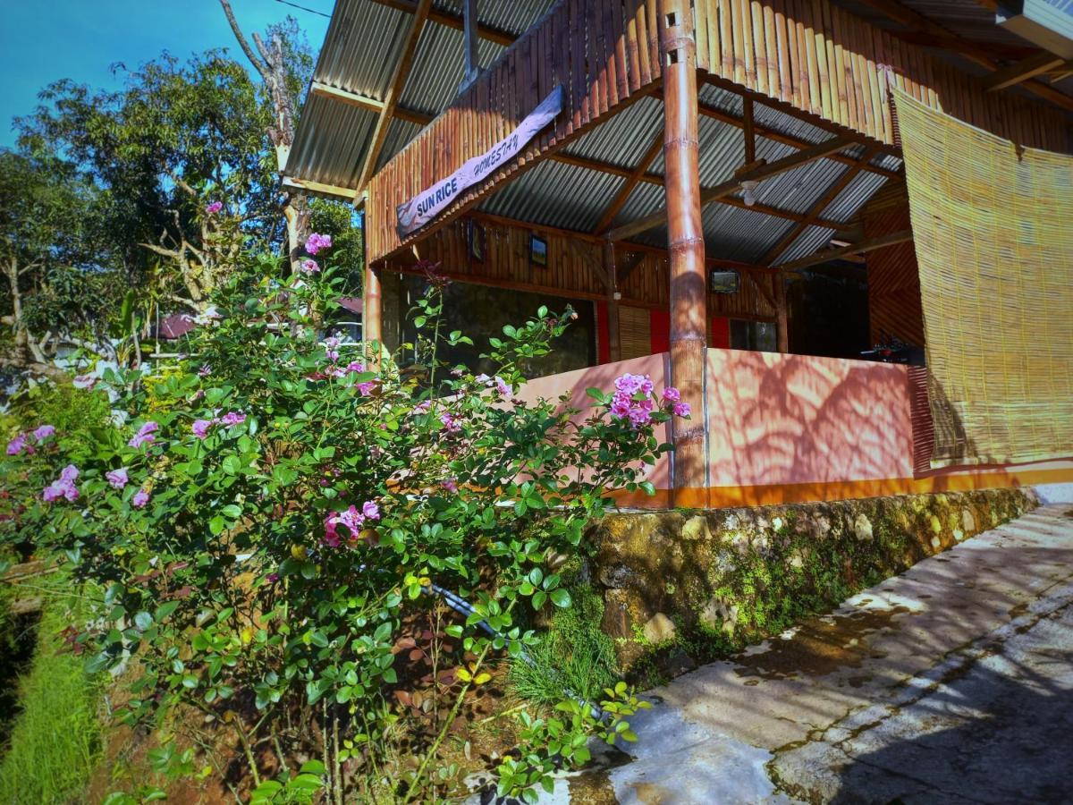 Sun Rice Homestay Ruteng Exterior photo
